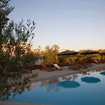 Pignata 3*